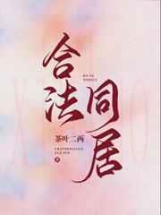 合法同居