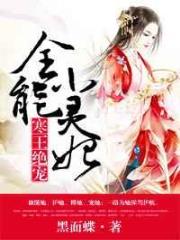 寒王绝宠:全能小灵妃