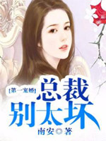 夏子夕穆少天