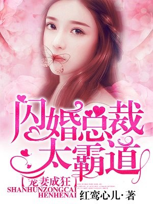 宠妻成狂:闪婚总裁太霸道